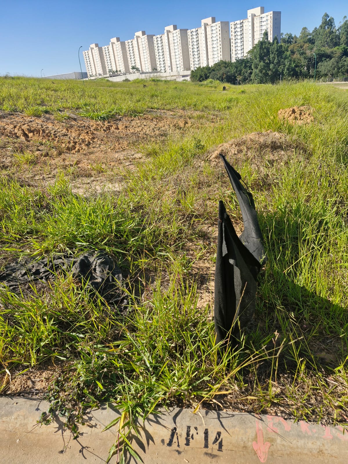 WhatsApp Image 2025-06-04 at 07.25.30