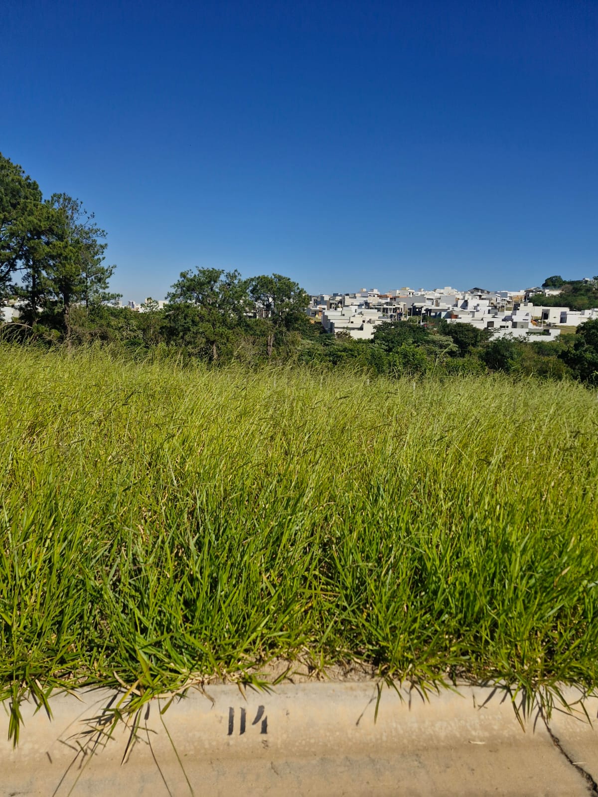 WhatsApp Image 2025-06-04 at 07.26.02