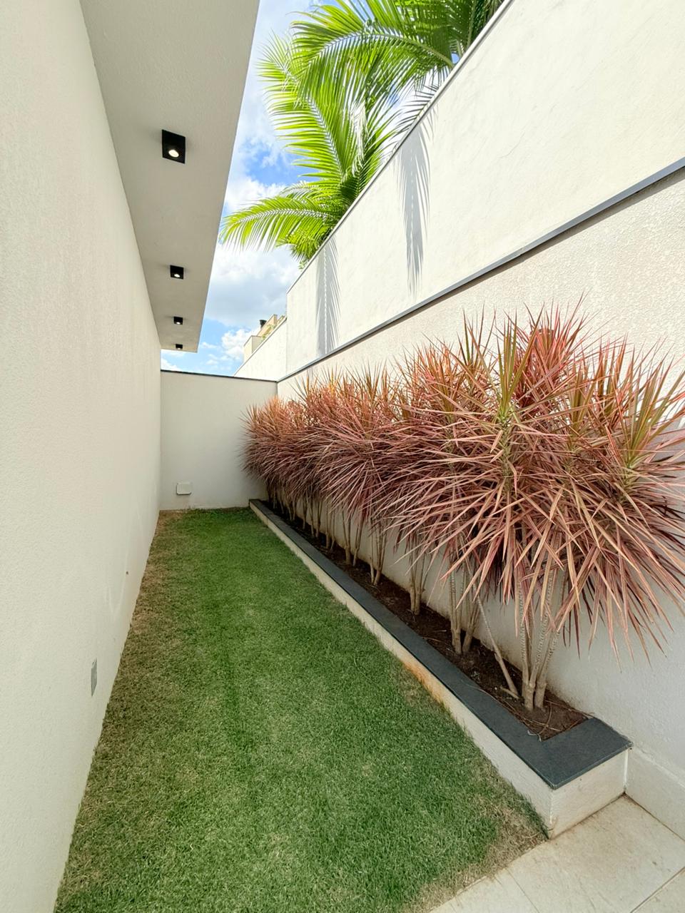 WhatsApp Image 2026-03-17 at 15.25.38